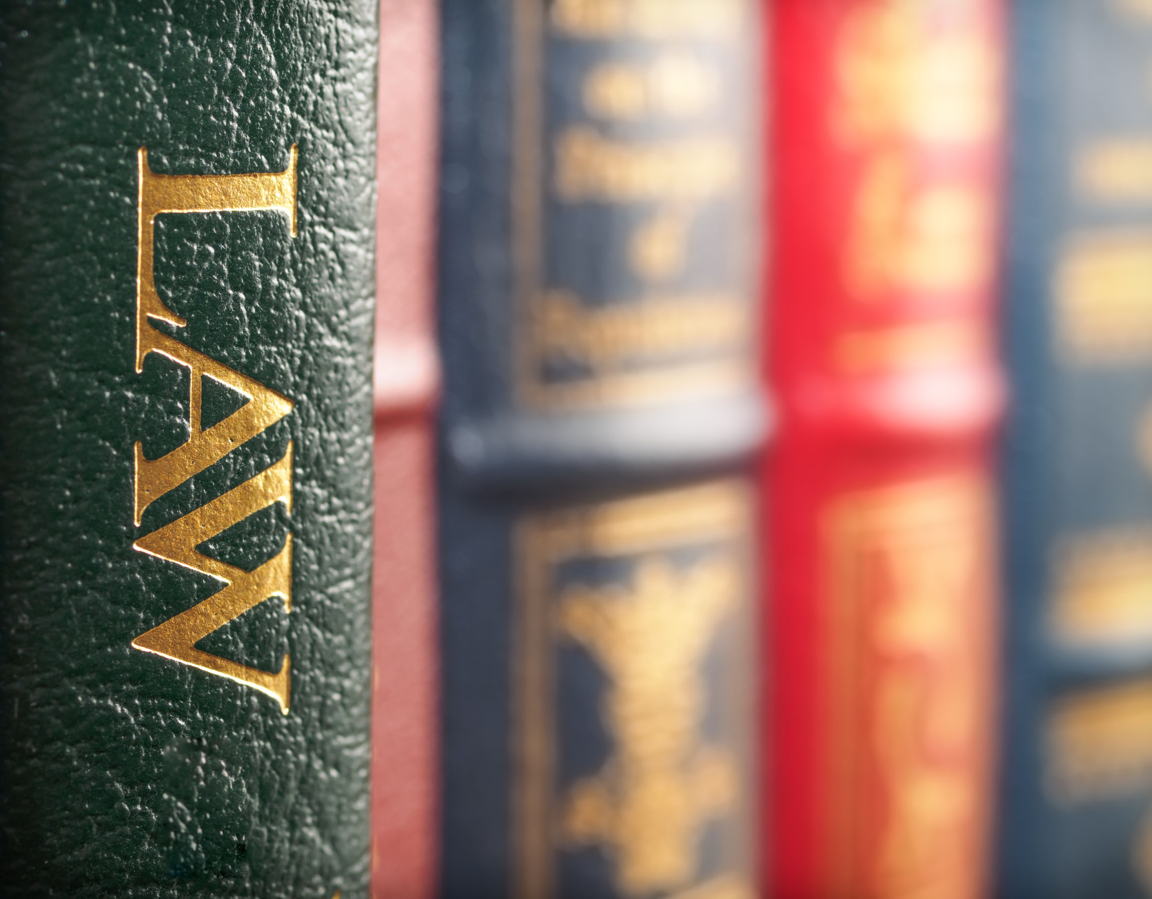 Why You Need a Brain Injury Lawyer in Green Bay, WI Brain injuries tend to be very complex. The injury may appear to be minor at first only for the victim to discover that they have long term effects that they…